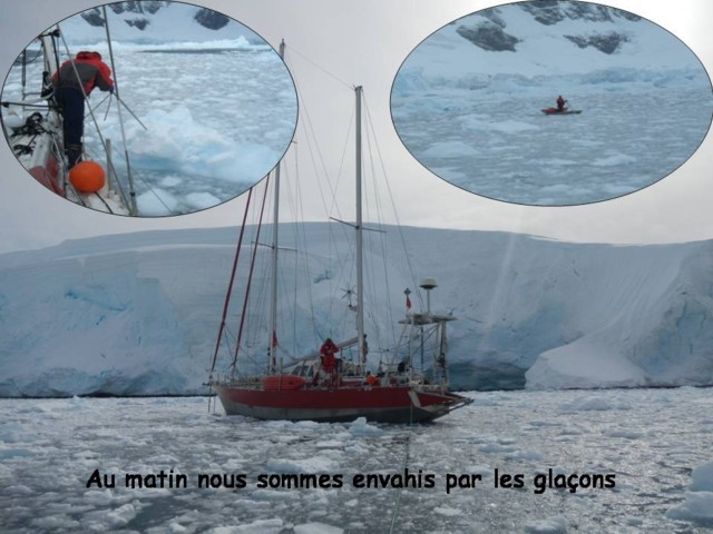 Antartique -10.jpg